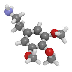 Mescaline peyote psychedelic molecule, chemical structure