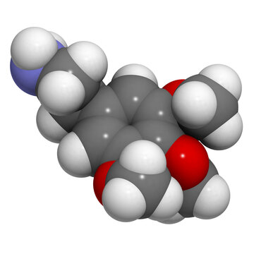 Mescaline peyote psychedelic molecule, chemical structure