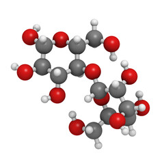 Maltose (maltobiose, malt sugar), molecular model