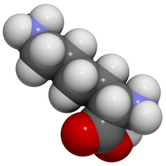 Lysine (Lys, K) molecule