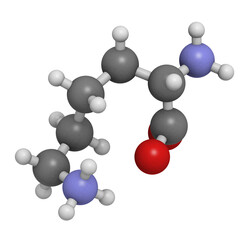 Obraz premium Lysine (Lys, K) amino acid, molecular model.