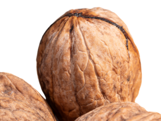 Close up of a big beautiful walnut