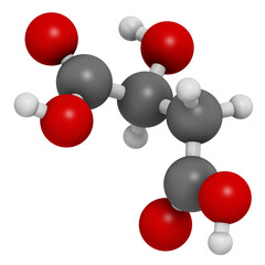 Malic acid organic dicarboxylic acid molecule. Naturally present in all living organisms, and used as food additive. 3D rendering.