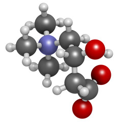 Carnitine molecule, chemical structure. Often found in nutritional supplements. Natural food sources include red meat and dairy products. 3D rendering.