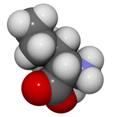 Isoleucine (Ile, I) molecule