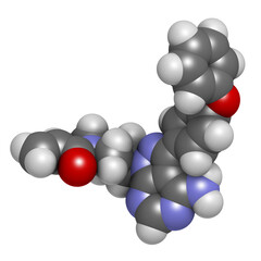 Ibrutinib cancer drug molecule. Used in treatment of mantle cell lymphoma and chronic lymphocytic leukemia (CLL).