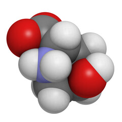 Hydroxyproline (Hyp) collagen building block, molecular model