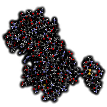 Prolactin Bilder Durchsuchen 1,455 Archivfotos, und