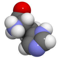 Histidine (His, H) amino acid, molecular model.