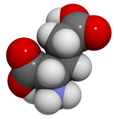 Glutamic acid (Glu, E) molecule