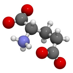 Glutamic acid (Glu, E, glutamate) amino acid, neurotransmitter and umami flavor component, molecular model.