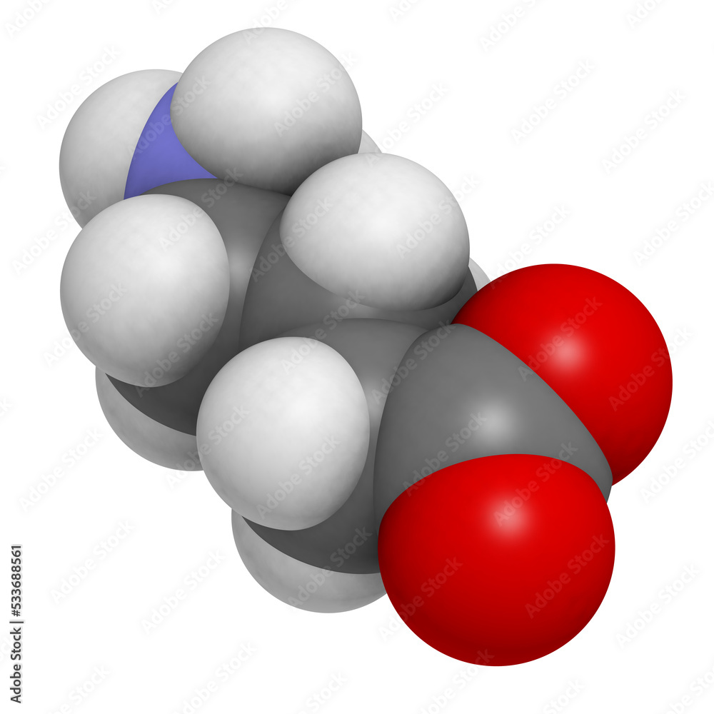 Sticker gamma-aminobutyric (GABA) neurotransmitter, molecular model