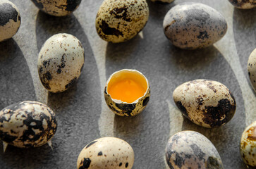 Quail eggs out against background of concrete table. broken egg with orange yolk in center. top view