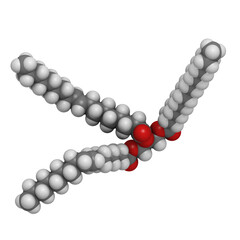 Trans-fat containing triglyceride (elaidyl stearyl oleyl triglyceride), molecular model