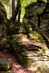 Rock formation and woodland landscape inside the Luxembourg little Switzerland (Mullerthal) region near the German border