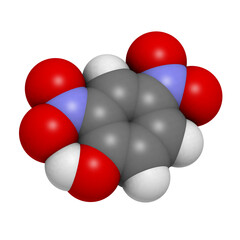 2,4-Dinitrophenol (DNP), molecular model