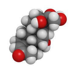 Cortisol (hydrocortisone) stress hormone, molecular model