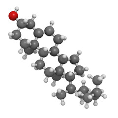Cholesterol, molecular model