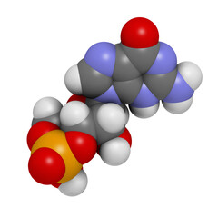 Cyclic guanosine monophosphate (cGMP) molecule. Important second messenger, produced by guanylate cyclase, broken down by phosphodiesterase (PDE).