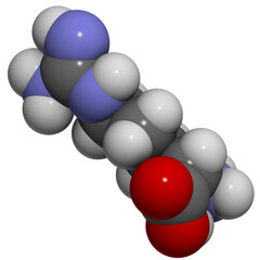 Arginine (Arg, R) Molecule