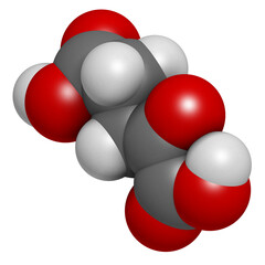 Alpha-ketoglutaric acid (ketoglutarate, oxo-glutarate). Intermediate molecule in the Krebs cycle. Found to prolong lifespan (in nematodes).