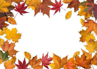Naklejka na ściany i meble autumn leaves frame isolated