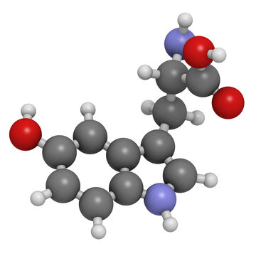 5-hydroxytryptophan (5-HTP, oxitriptan) antidepressant, molecular model.