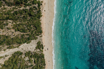 Seascape and sandy beach with turquoise clear waters and trees in Greece