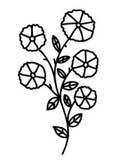 Plant illustration, outline decoration. PNG with transparent background.