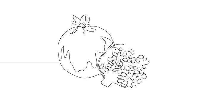 Animation of an image drawn with a continuous line. Pomegranate.