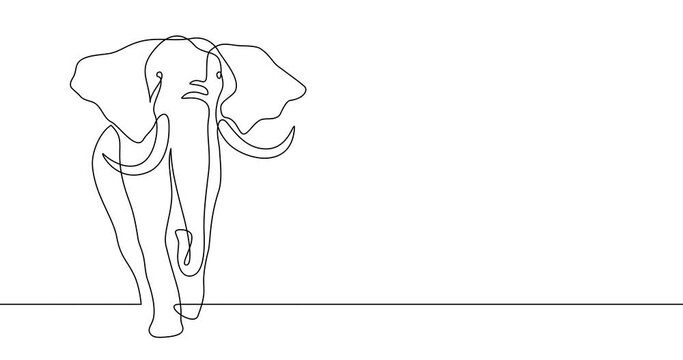 Animation of an image drawn with a continuous line. Elephant.