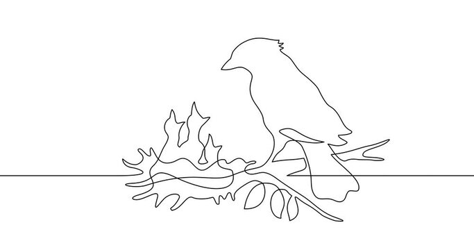 Animation of an image drawn with a continuous line. Nest and birds silhouettes.