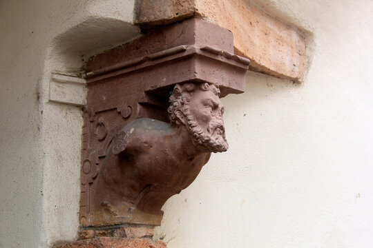 belle t&ecirc;te barbue