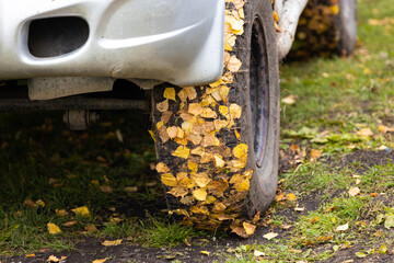 Yellow autumn leaves stuck to the dirt wheel of a silver car. Car wheel covered with golden birch...