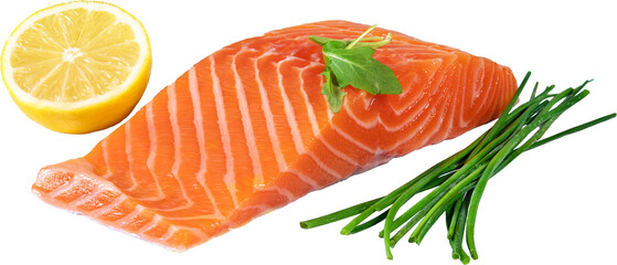 Fresh raw salmon fish fillet