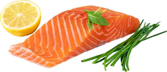 Fresh raw salmon fish fillet