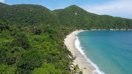 Santa Marta Colombia , Tayrona Natural Park Caribbean sea ocean - Drone aerial view of amazing  sand beach and  forest full of palm trees vegetation - deserted and paradise beach for summer vacation