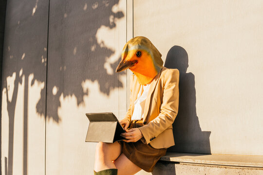 Freelancer wearing bird mask using tablet PC sitting in front of wall