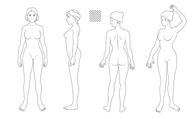 Fototapeta na wymiar Human body full body illustration set transparent background solid line, woman front side back, medical, fashion style