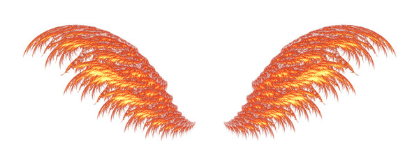 two burning wings