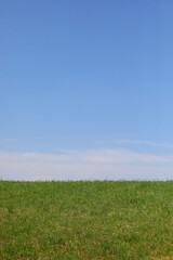 Fototapeta na wymiar simple nature background with blue sky above and green grass below ideal for writing custom text