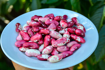 Red beans in a bowl, top view.