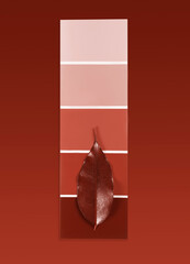 Color samples palette design catalog with tablet