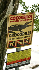 Crocodile warning sign at the estuary in Tamarindo, Costa Rica
