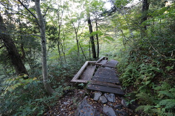 鳩待峠から山の鼻を経由した尾瀬の至仏山への登山