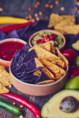 Bowl of Colorful Tortilla Chips with vegetables and other ingredients. High quality photo