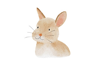 Rabbit Watercolor