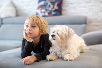 Cute blond child, toddle boy, watching TV with his pet maltese dog - obrazy, fototapety, plakaty
