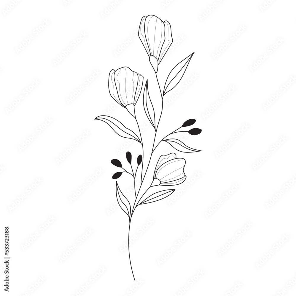 Wall mural botanical leaf wildflower line art