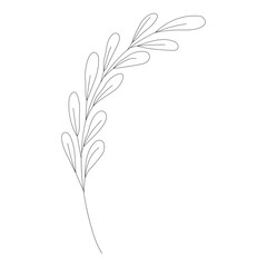 Botanical leaf Wildflower Line art